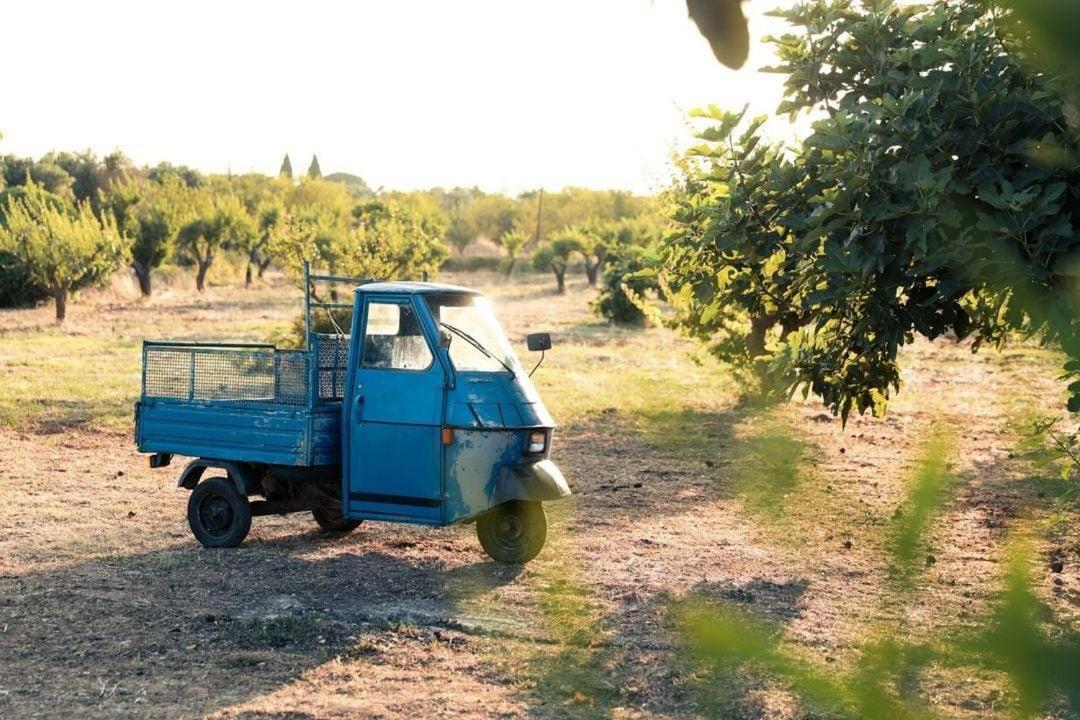 圣维托诺曼Casa In Campagna ⋅ Forimia别墅 外观 照片